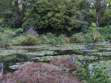 Pond