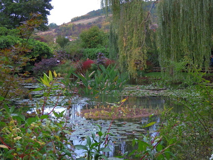 Pond