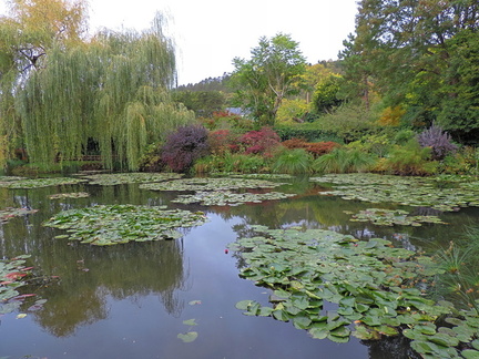 Pond