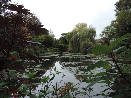 Pond