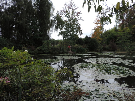 Pond