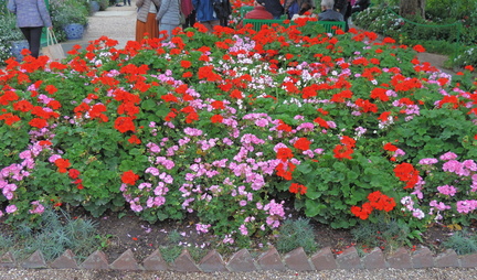 Flower bed