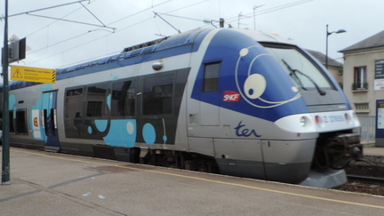 TER