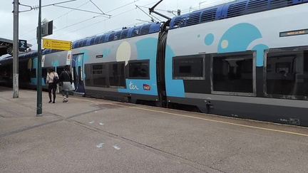 TER