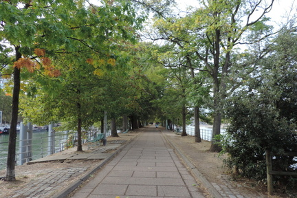 Along the island