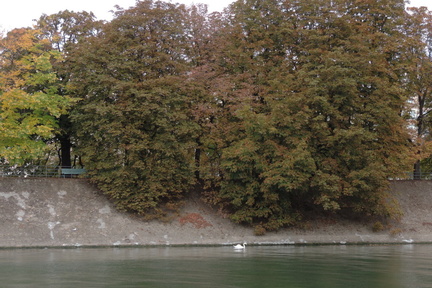 Across the river