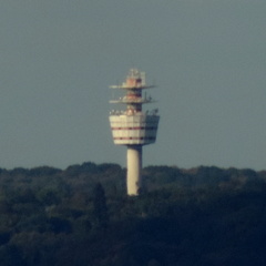 Tower