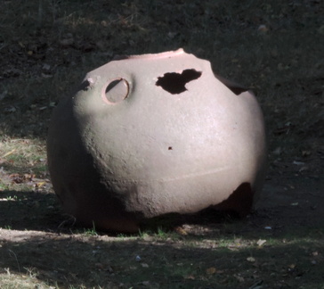 Shell