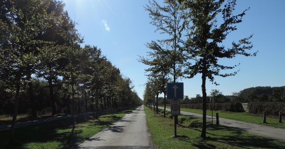 Avenue