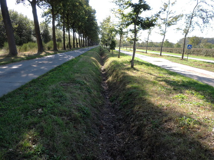 Along the ditch