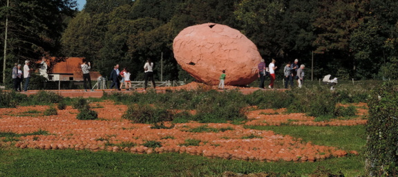 Egg