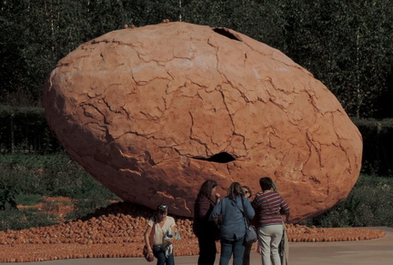 Egg