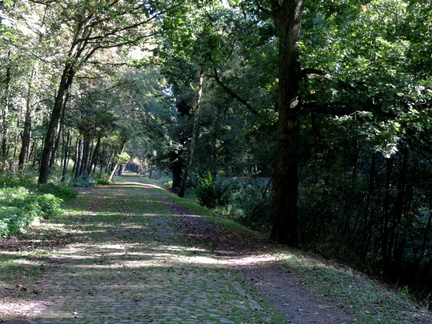Along the canal