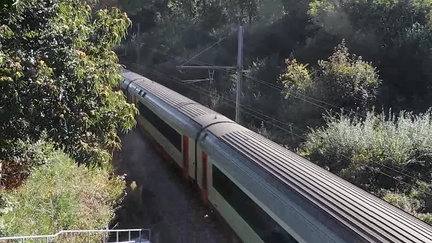 Train