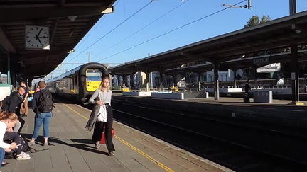Train