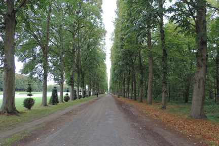 Avenue