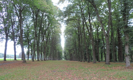 Avenue