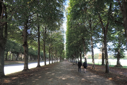 Avenue
