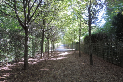 Avenue