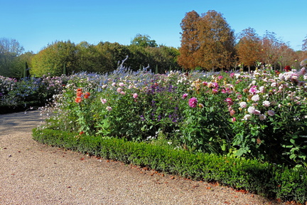 Flower beds