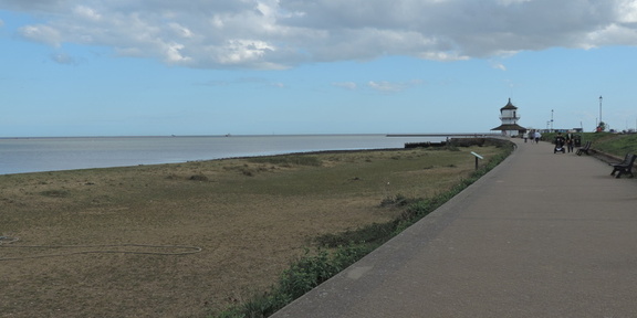 Along the coast
