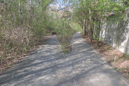 Paths