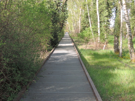Boardwalk