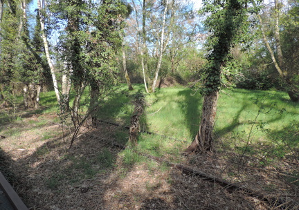 Tracks and trees
