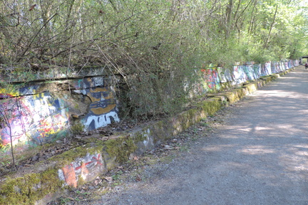 Wall