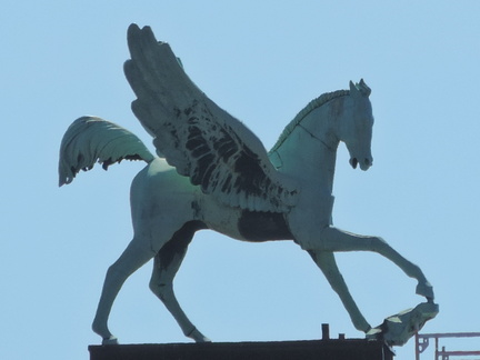 Horse