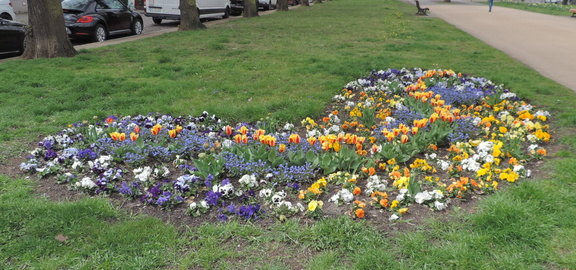 Flower bed