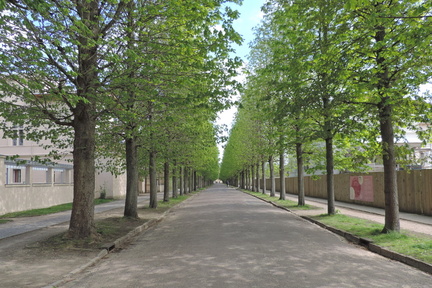 Avenue