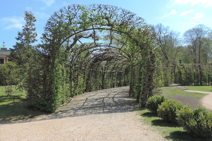 Tunnel