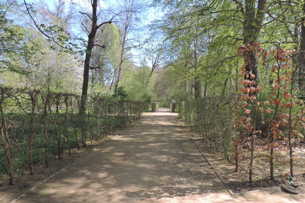 Avenue