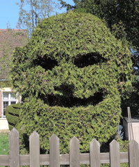 107-Head