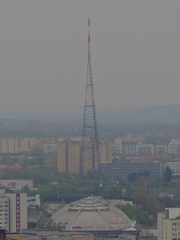 Mast
