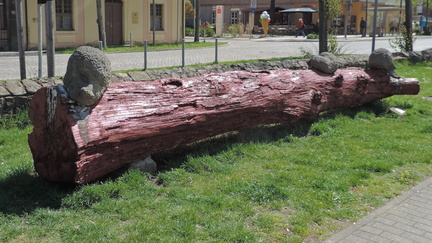 Log