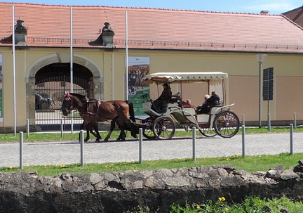 Horse and cart