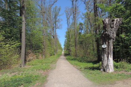 Path