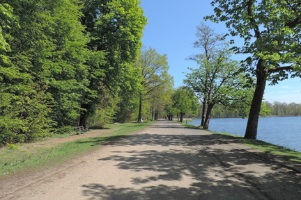 Along the lake