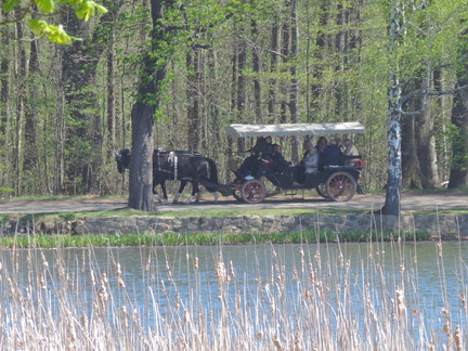 Horse and cart