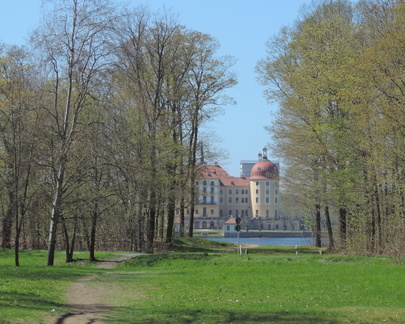 Palace through the trees