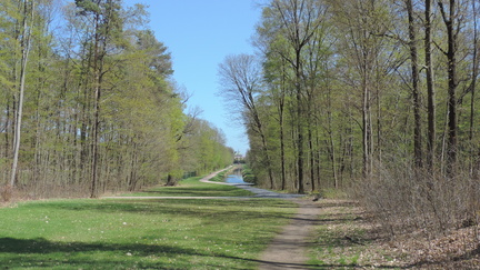 Down to the canal