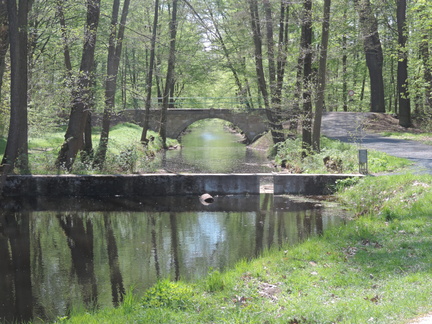 Bridge