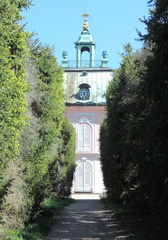 Through the bushes