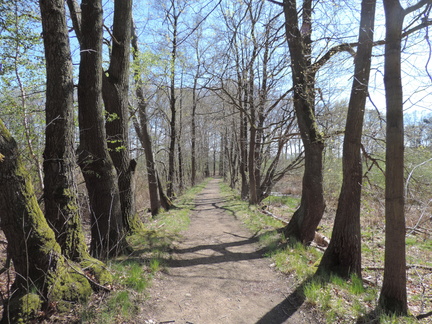 Path