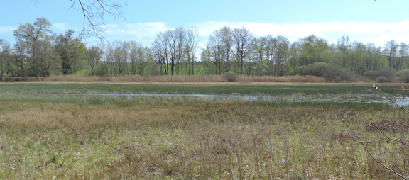 Across the lake