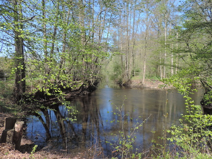 Confluence