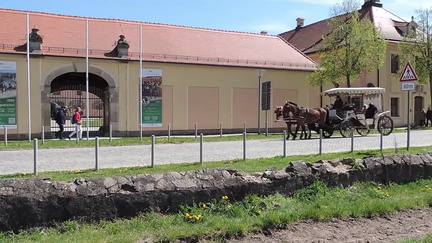 Horse and cart