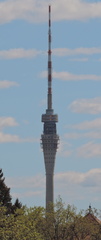 Mast
